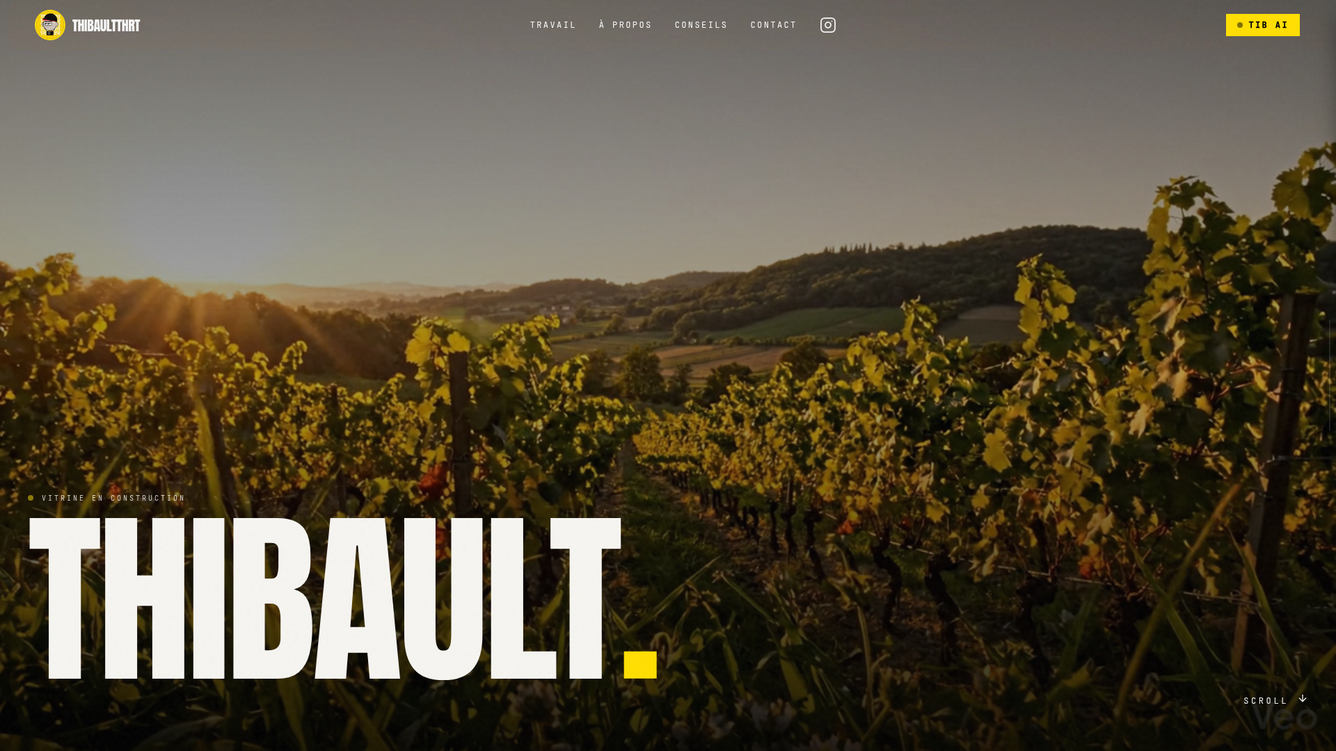 Aperçu du site Thibault THRT
